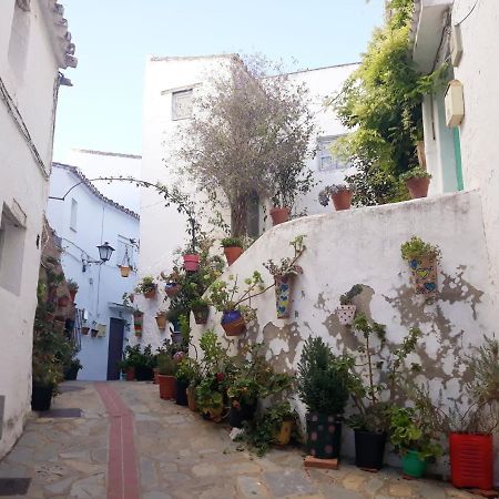 Beautiful Apartment In Duquesa Suites And Gardens Castillo de Sabinillas Exterior photo